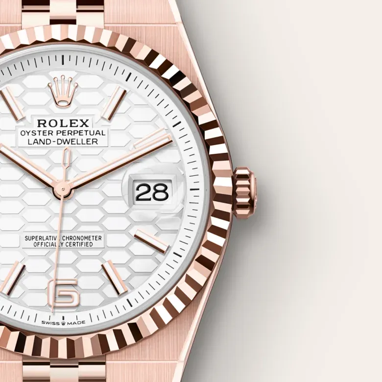 Rolex Land-Dweller 36 Intense White