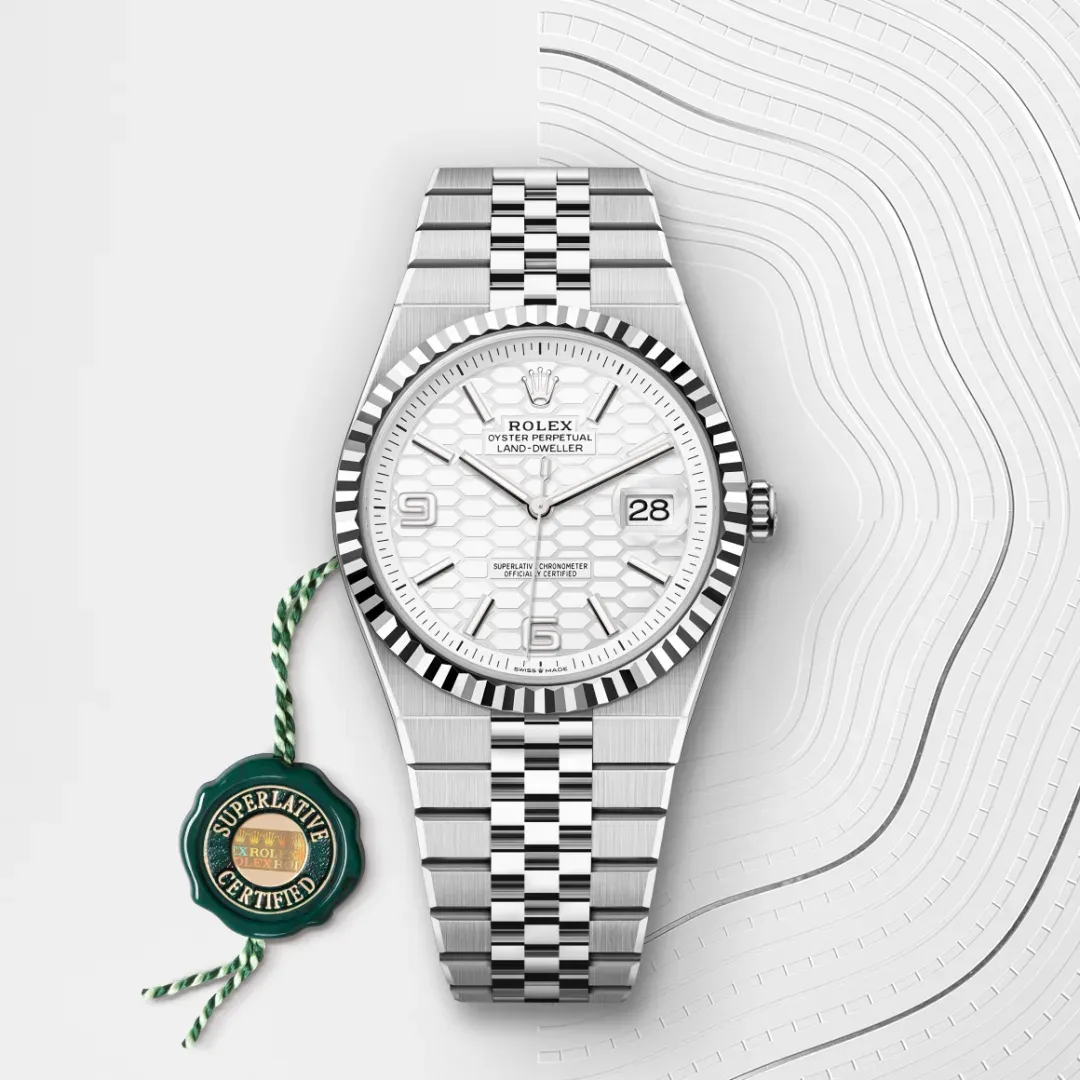Rolex Land-Dweller 36 White Gold