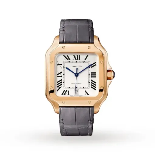 Cartier Santos de Cartier Men Automatic Silver Alligator Watch WGSA0019