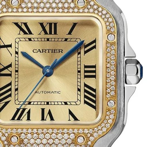 Cartier Santos de Cartier Women Automatic Gold Watch W3SA0007
